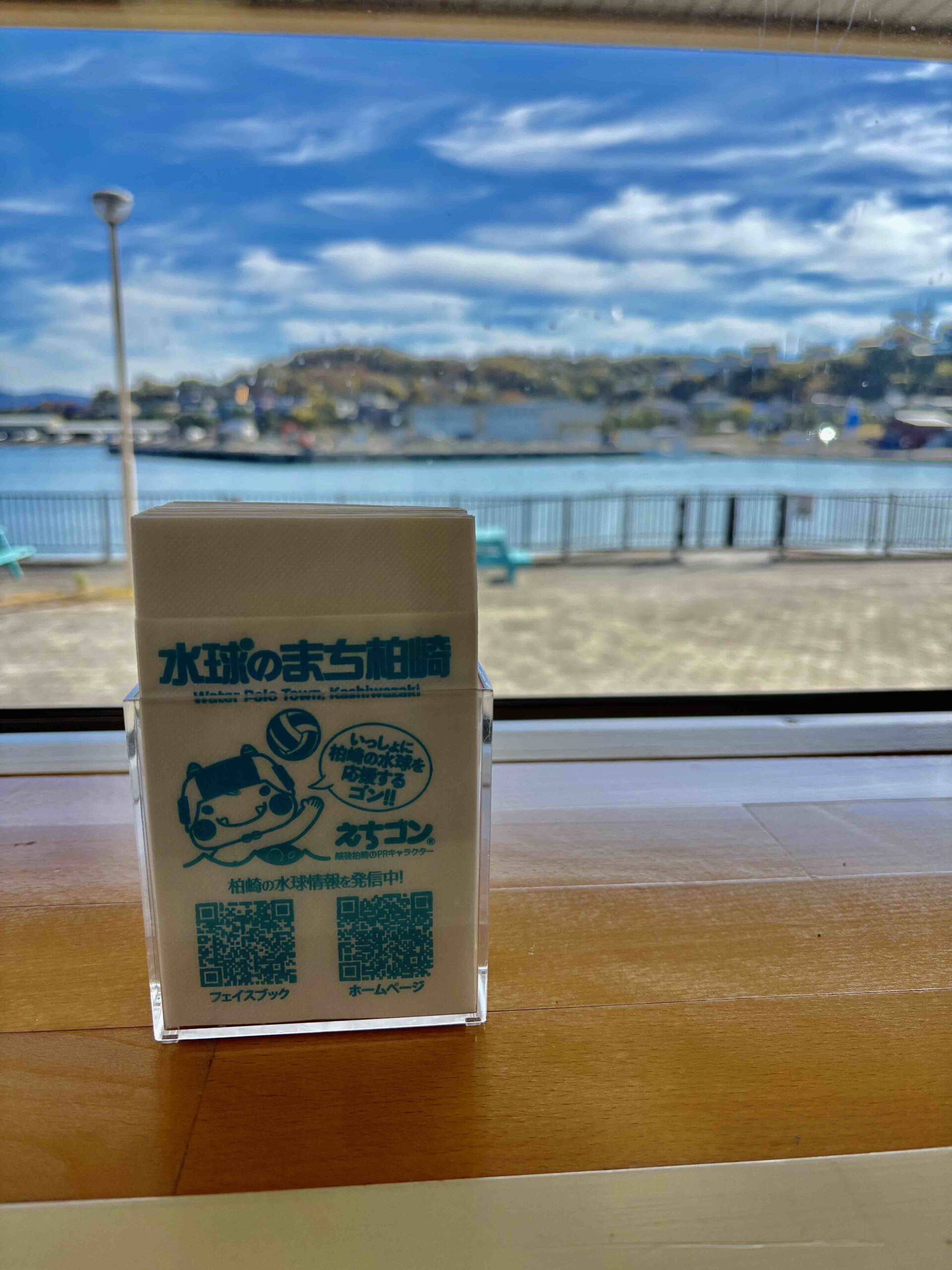 水球ってどんなスポーツ？──“水球のまち柏崎” 水球が「地域文化